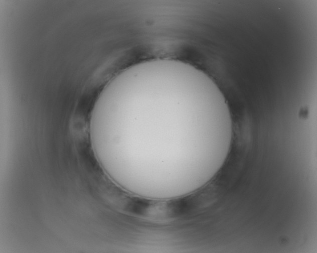 X0000114170705200910151637