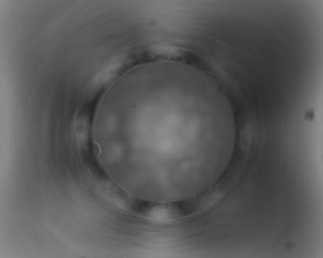 X0000114170708200910151637