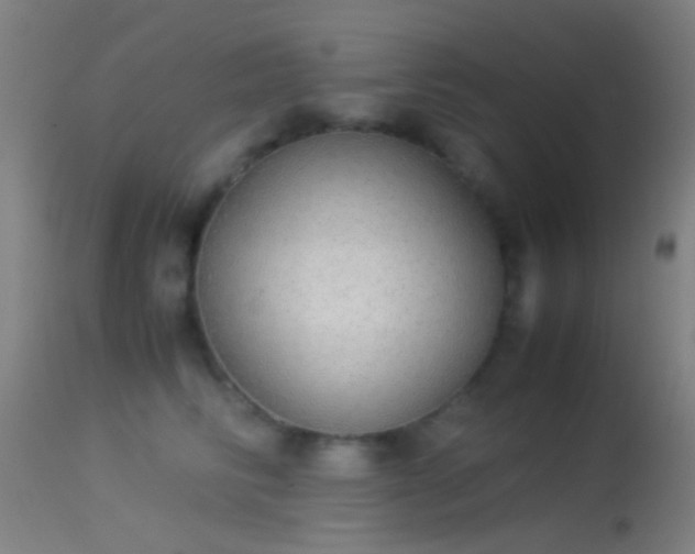 X0000114170710200910151637