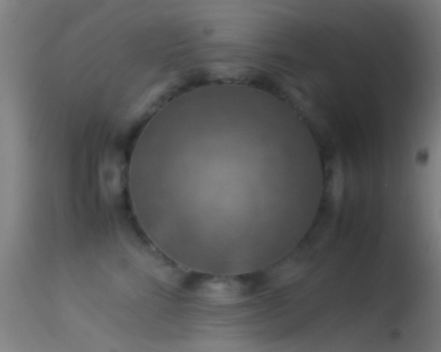 X0000114170712200910151637