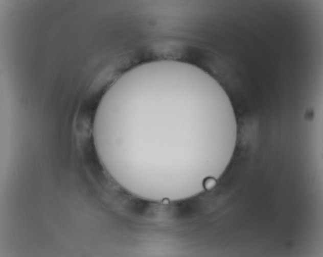 X0000114170713200910151637