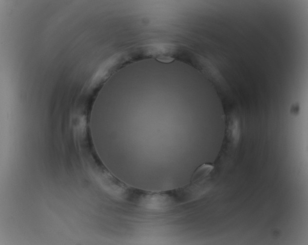 X0000114170716200910151637