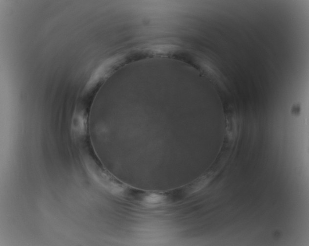 X0000114170718200910151637