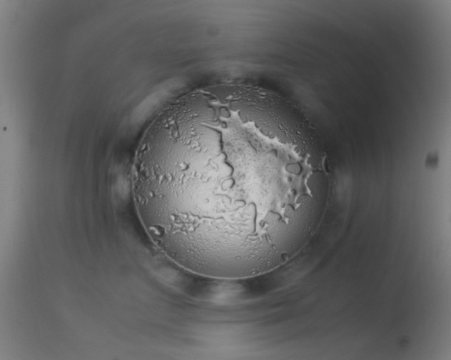 X0000114170719200910151637