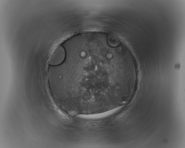 X0000114170721200910151636