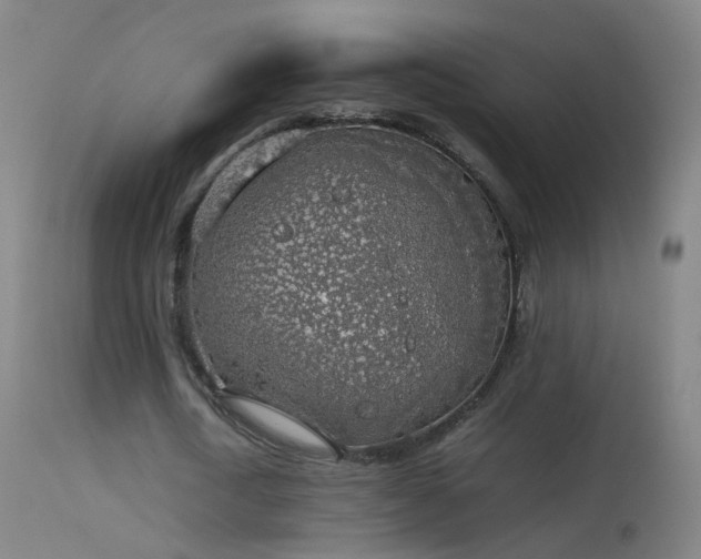 X0000114170722200910151636