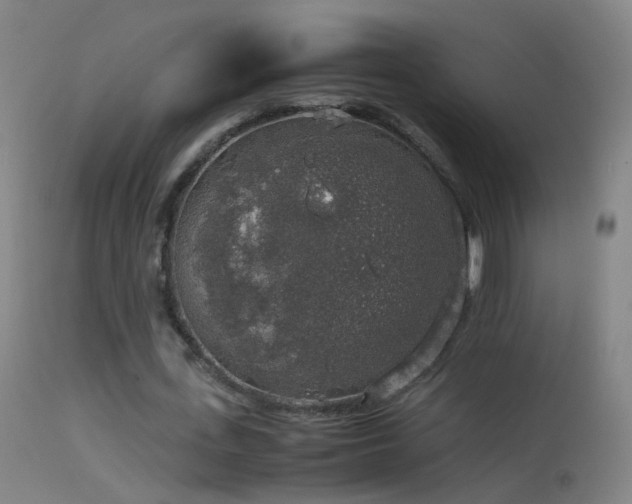 X0000114170723200910151636