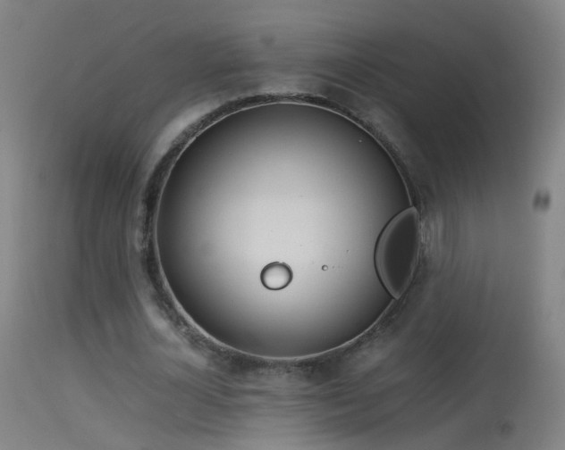 X0000114170724200910151636