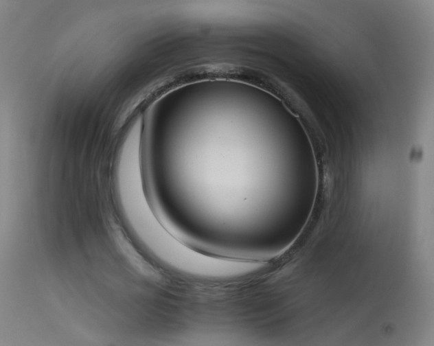 X0000114170725200910151636