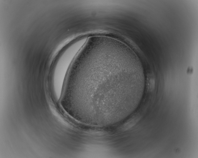 X0000114170726200910151636