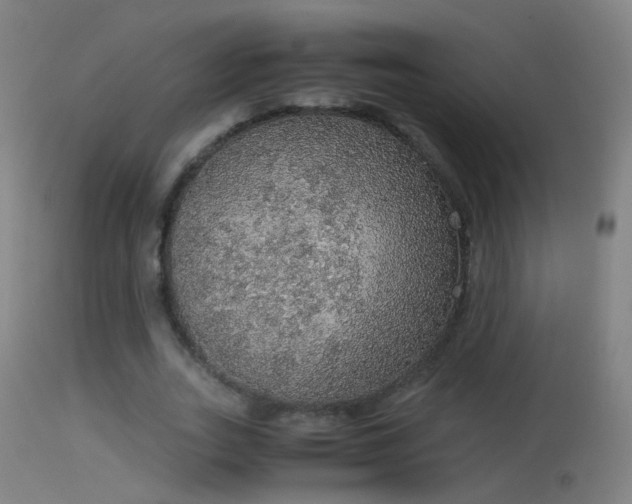 X0000114170727200910151636