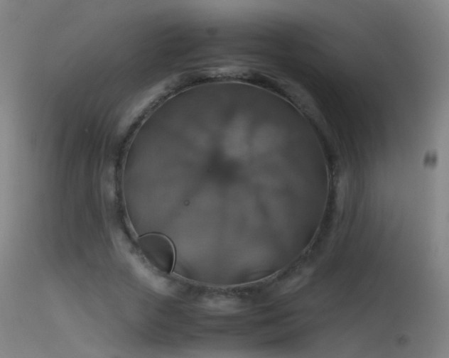 X0000114170729200910151636