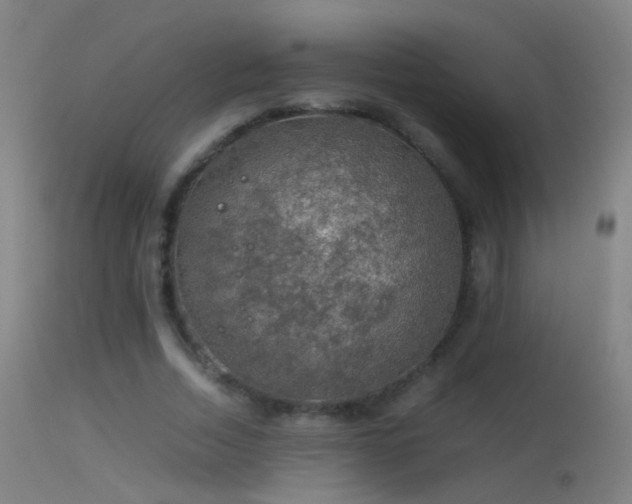 X0000114170730200910151636