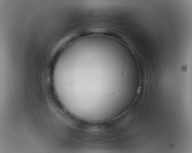 X0000114170731200910151636
