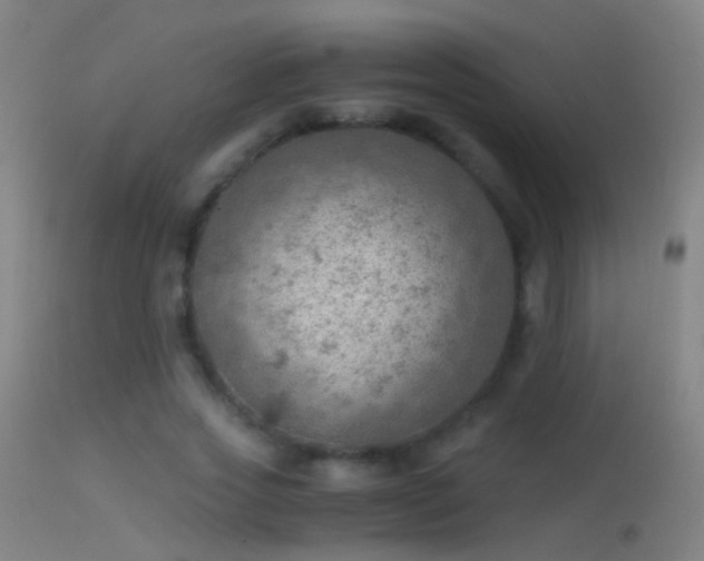 X0000114170733200910151636