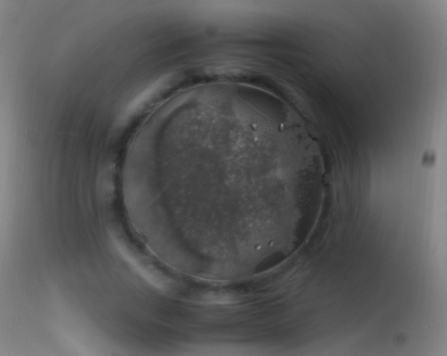 X0000114170735200910151636
