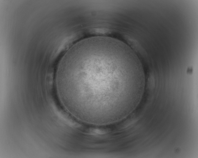 X0000114170739200910151636