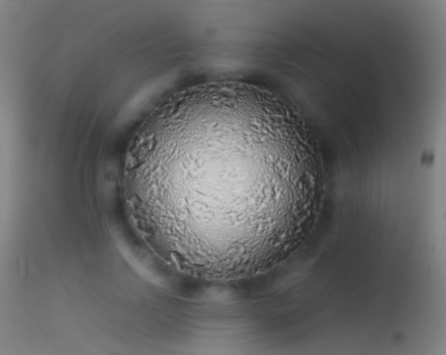 X0000114170742200910151636