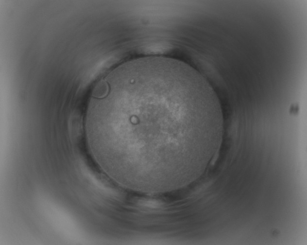X0000114170743200910151636