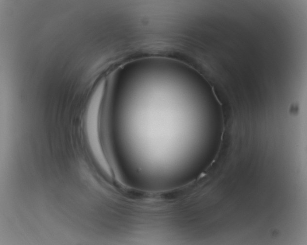 X0000114170744200910151636