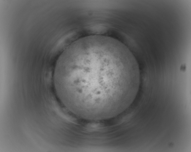 X0000114170745200910151636
