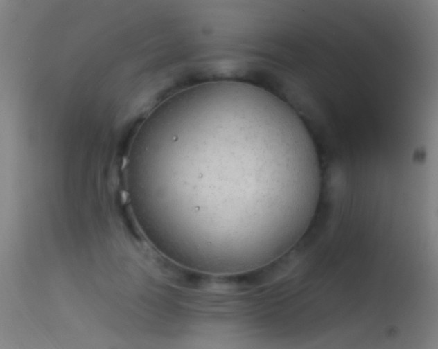 X0000114170746200910151636