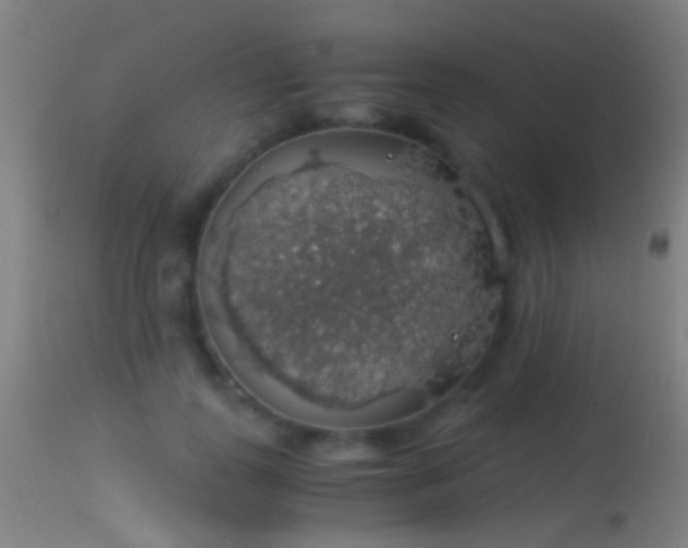 X0000114170747200910151636