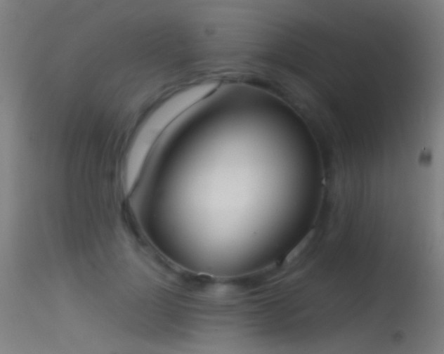X0000114170748200910151636
