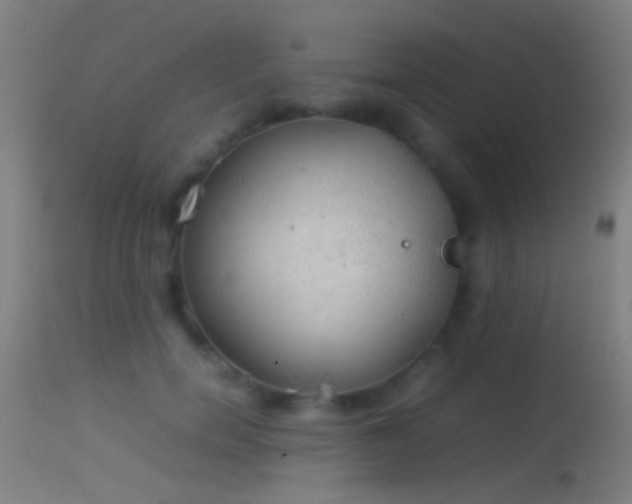 X0000114170750200910151636