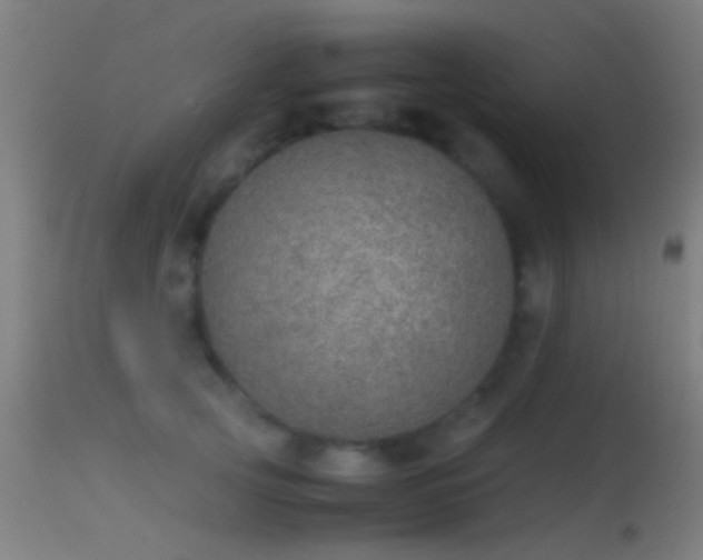 X0000114170753200910151637