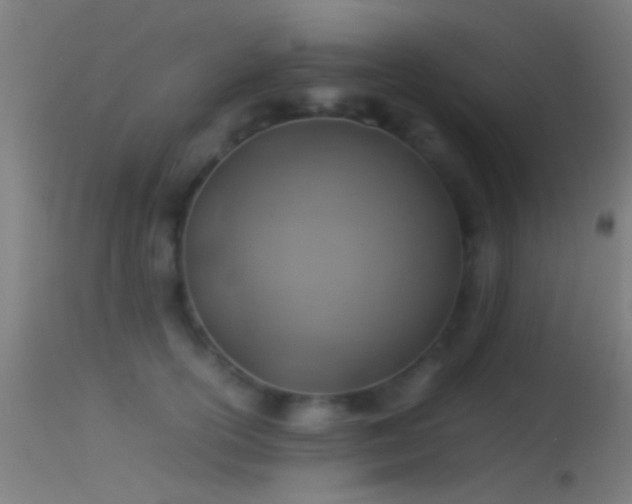 X0000114170754200910151637