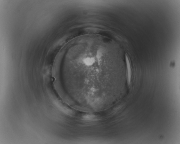 X0000114170759200910151637