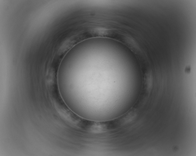 X0000114170760200910151637