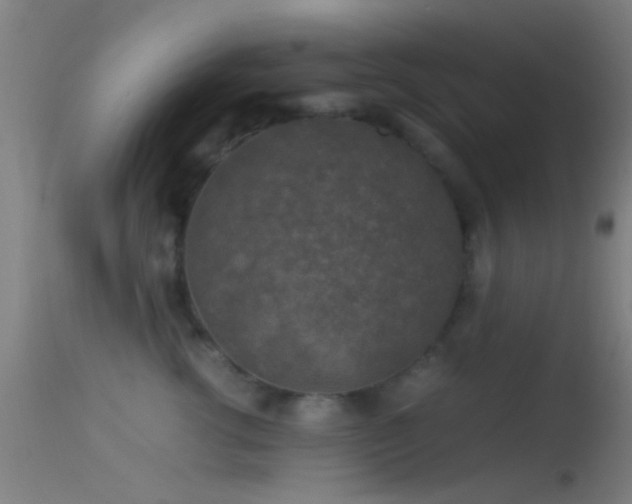 X0000114170762200910151637