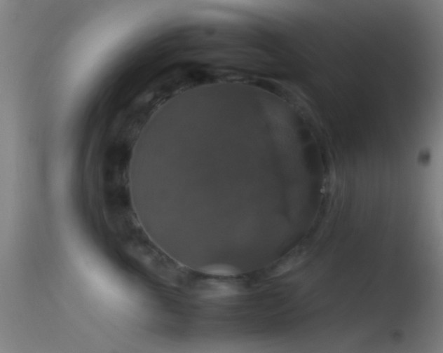X0000114170763200910151637