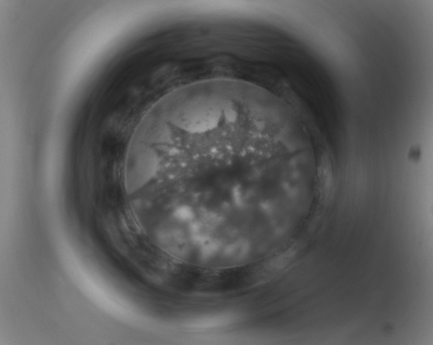 X0000114170765200910151637