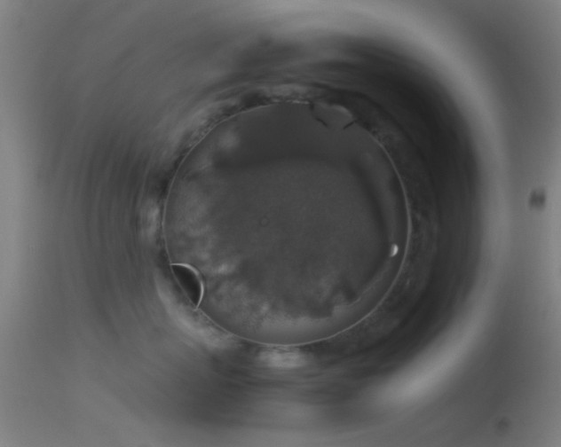 X0000114170767200910151637