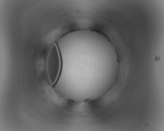 X0000114170768200910151637