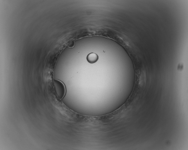 X0000114170770200910151636
