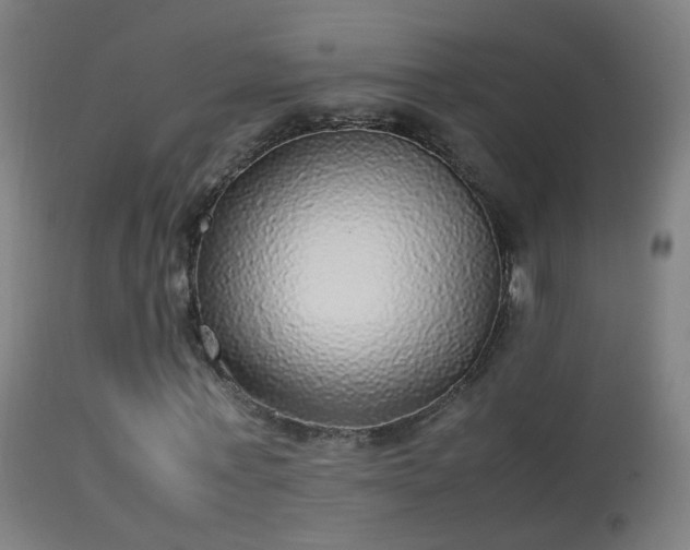 X0000114170771200910151636
