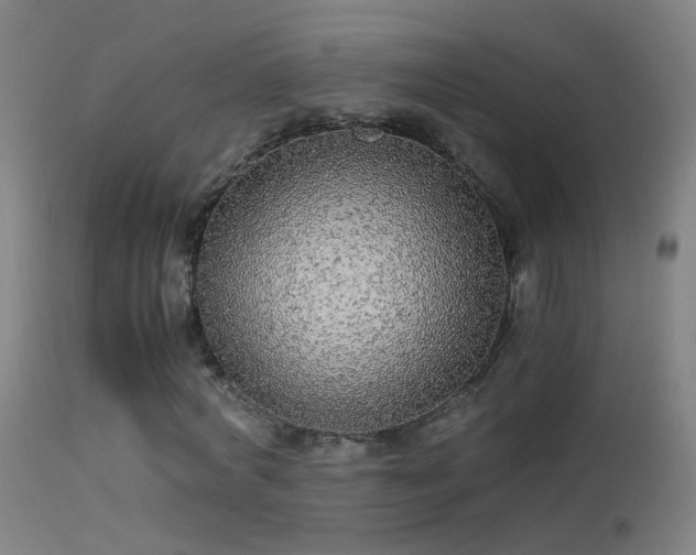 X0000114170772200910151636