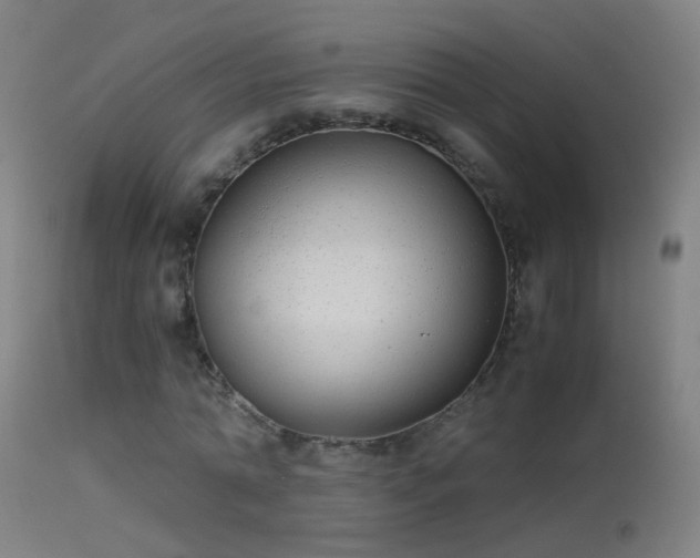 X0000114170774200910151636