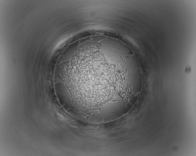 X0000114170775200910151636