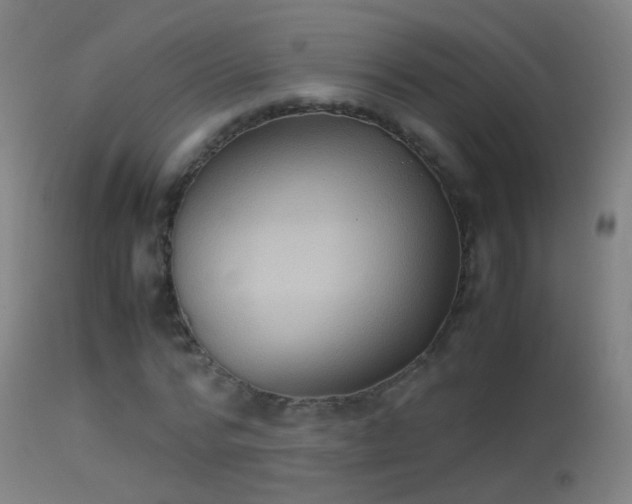 X0000114170776200910151636