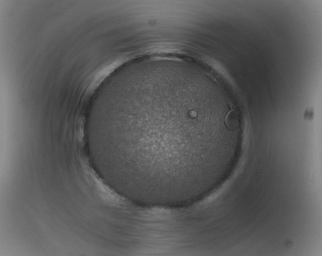 X0000114170777200910151636