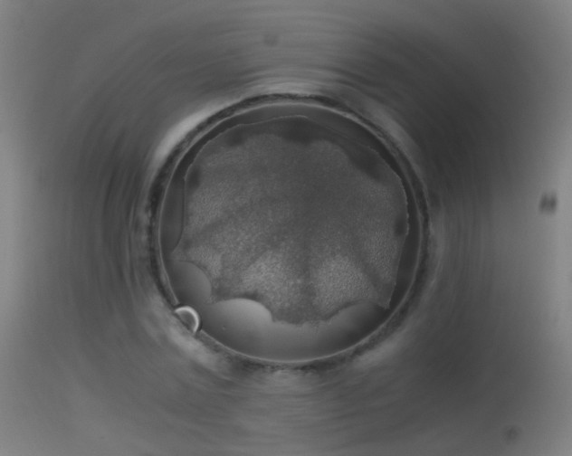 X0000114170779200910151636