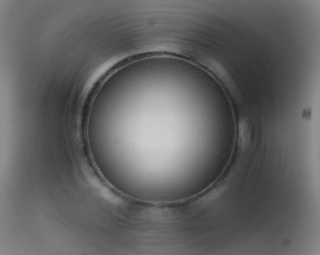 X0000114170780200910151636