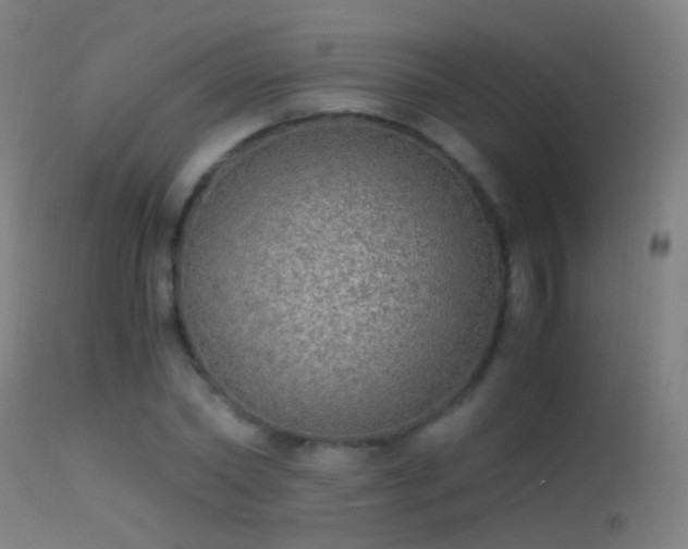 X0000114170782200910151636