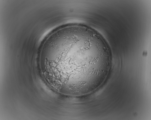 X0000114170783200910151636