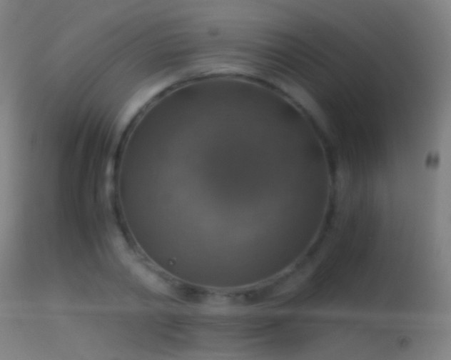 X0000114170790200910151636